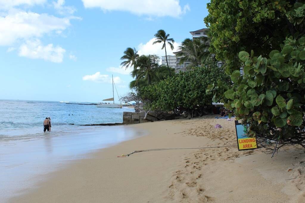 Photo of Others in Waikiki