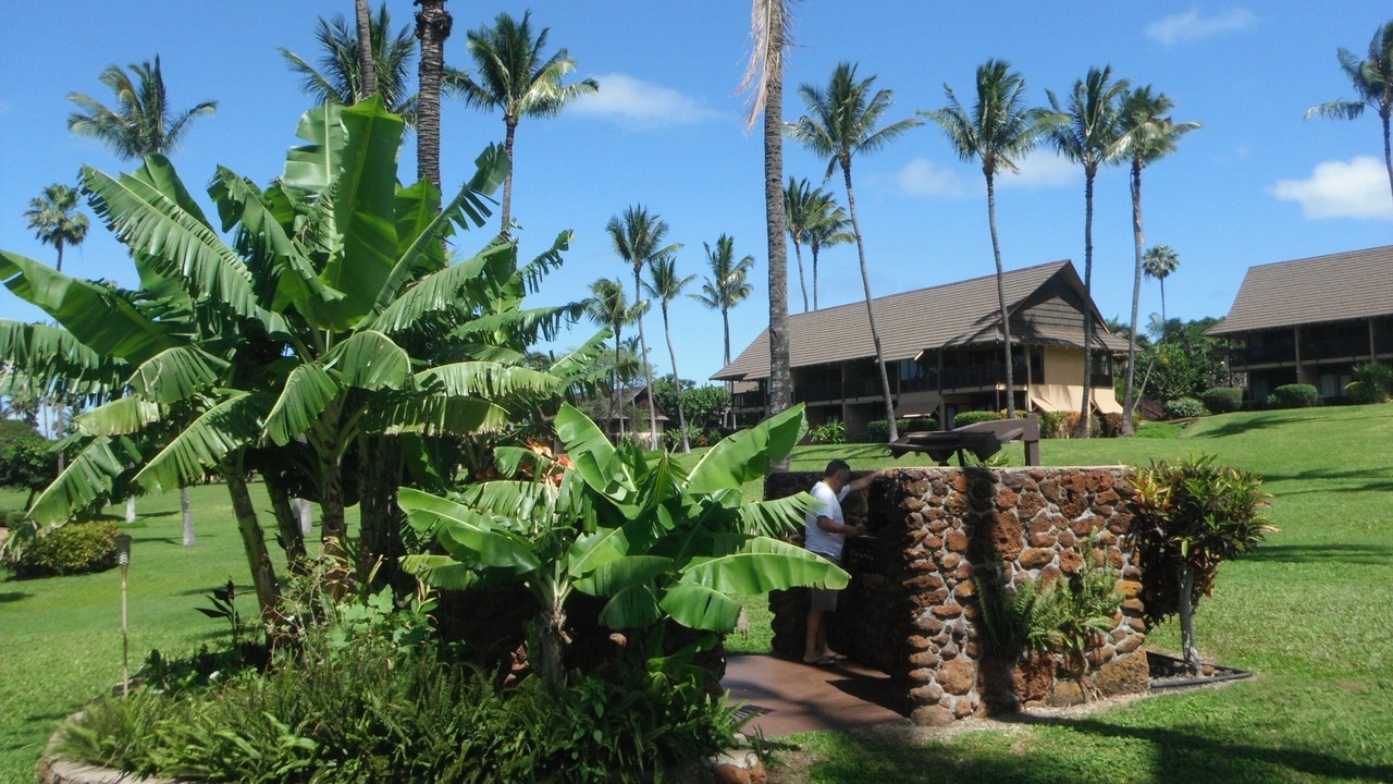 Photo of Others in Maunaloa