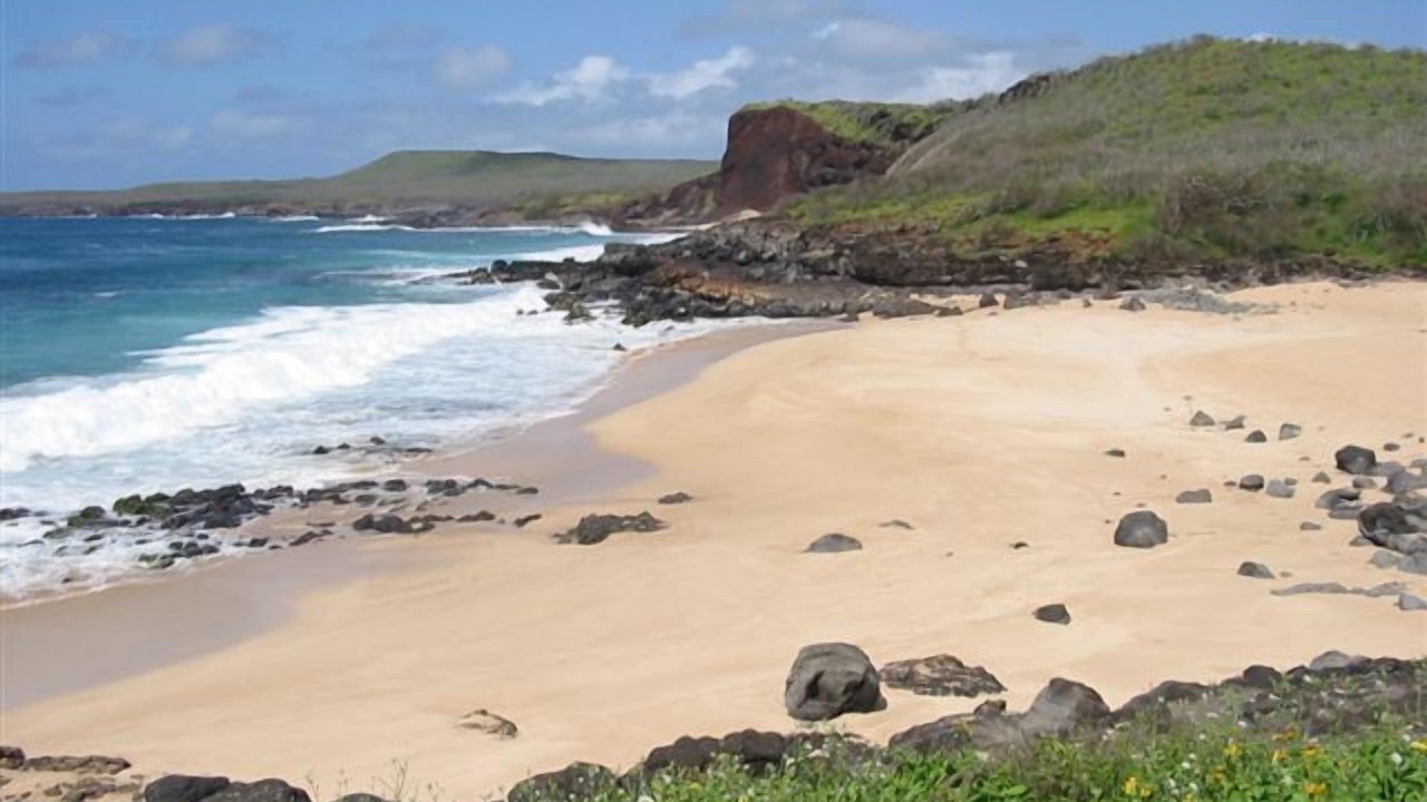 Photo of Others in Maunaloa