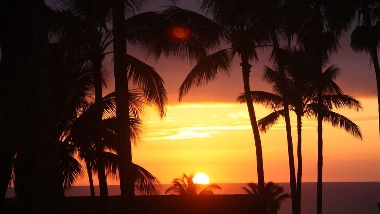 Photo of Others in Maunaloa
