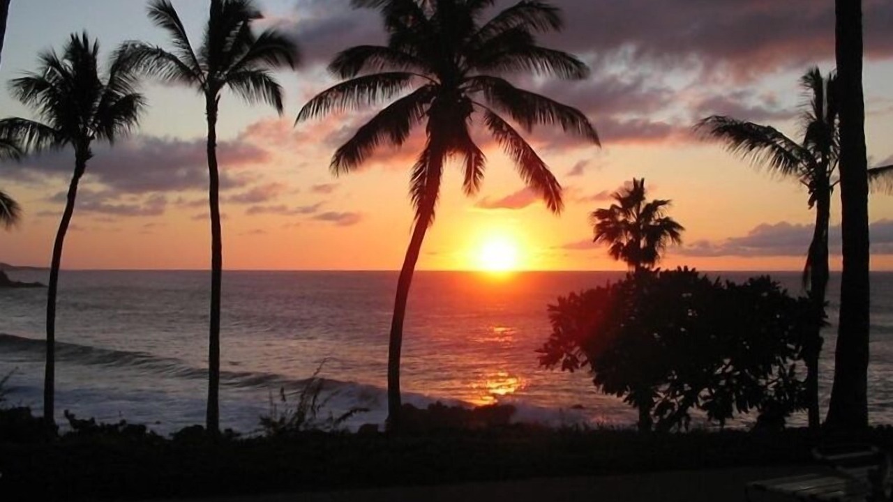 Photo of Others in Maunaloa