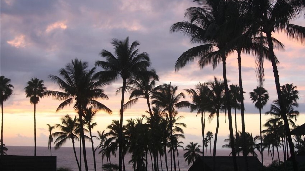 Photo of Others in Maunaloa
