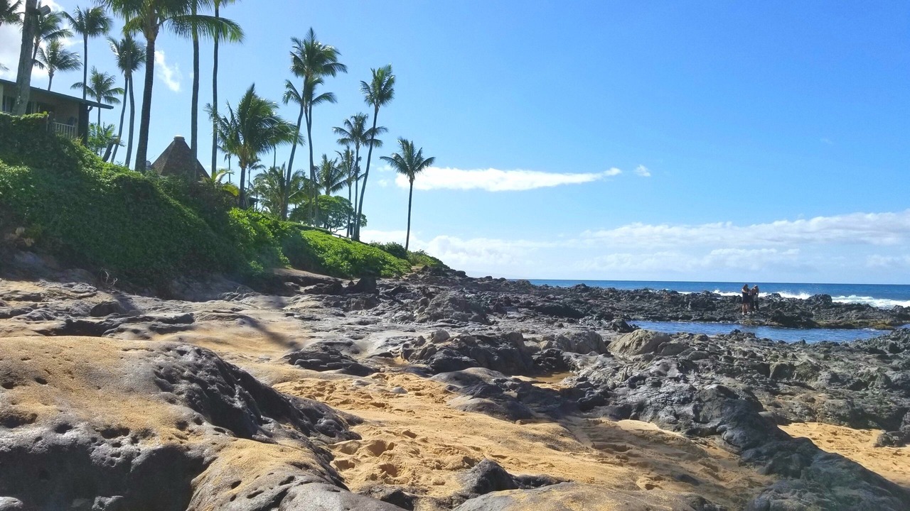 Photo of Others in Napili
