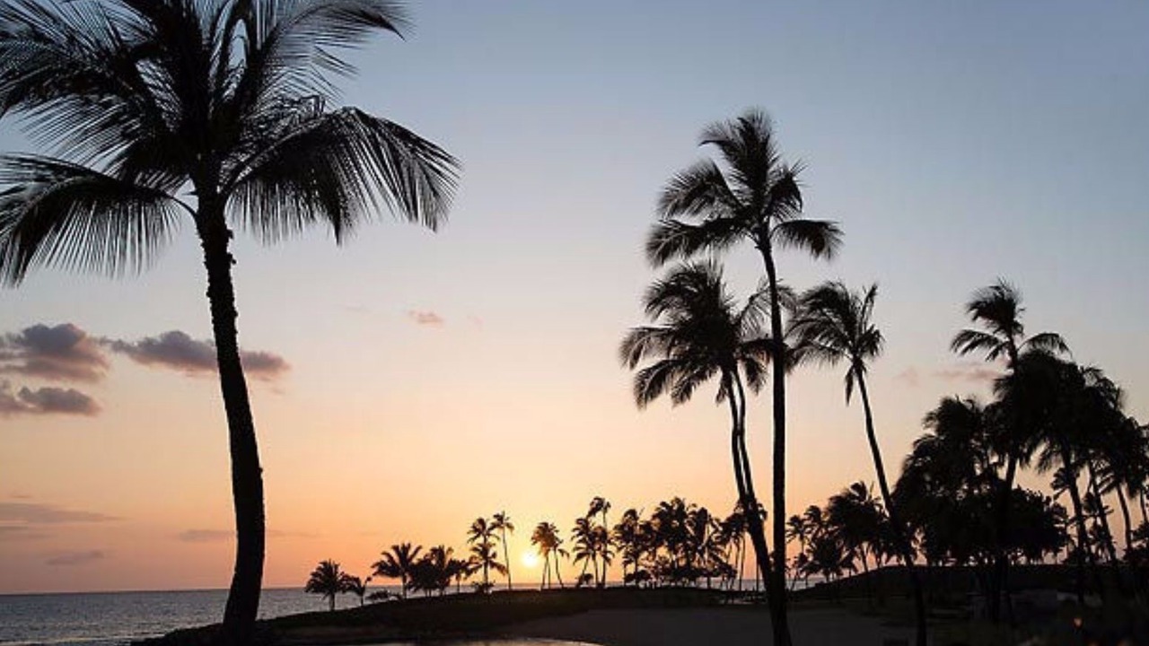 Photo of Others in Ko Olina