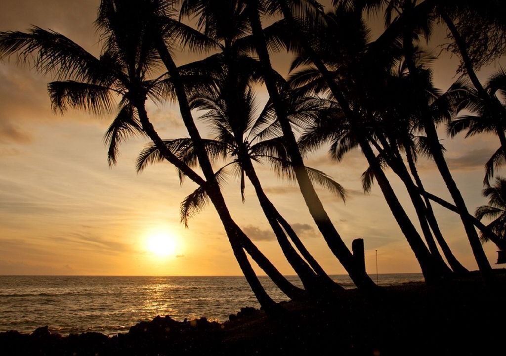 Photo of Others in Keauhou