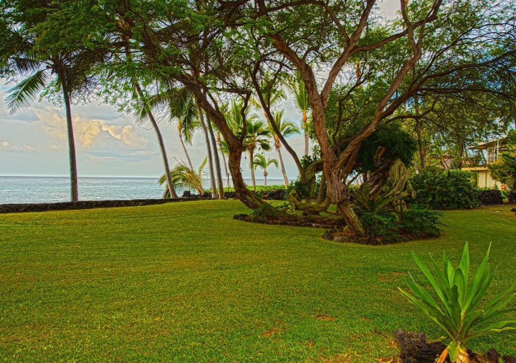 Photo of Others in Keauhou