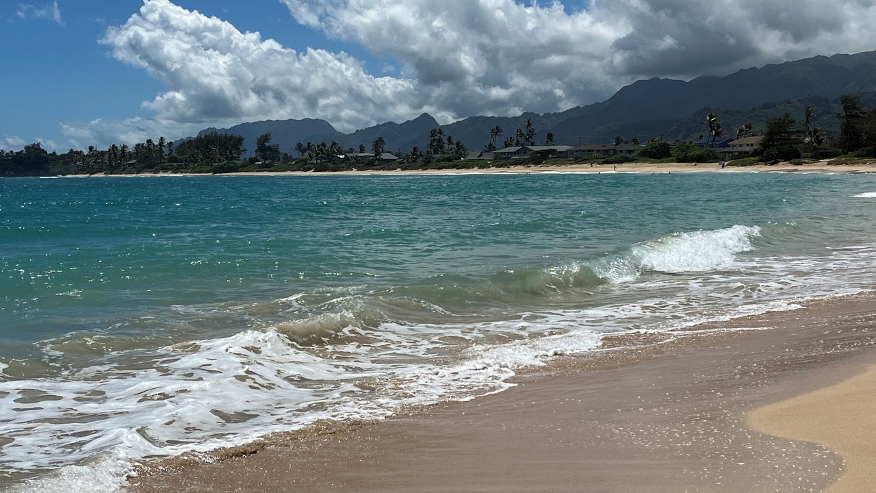 Photo of Others in Laie