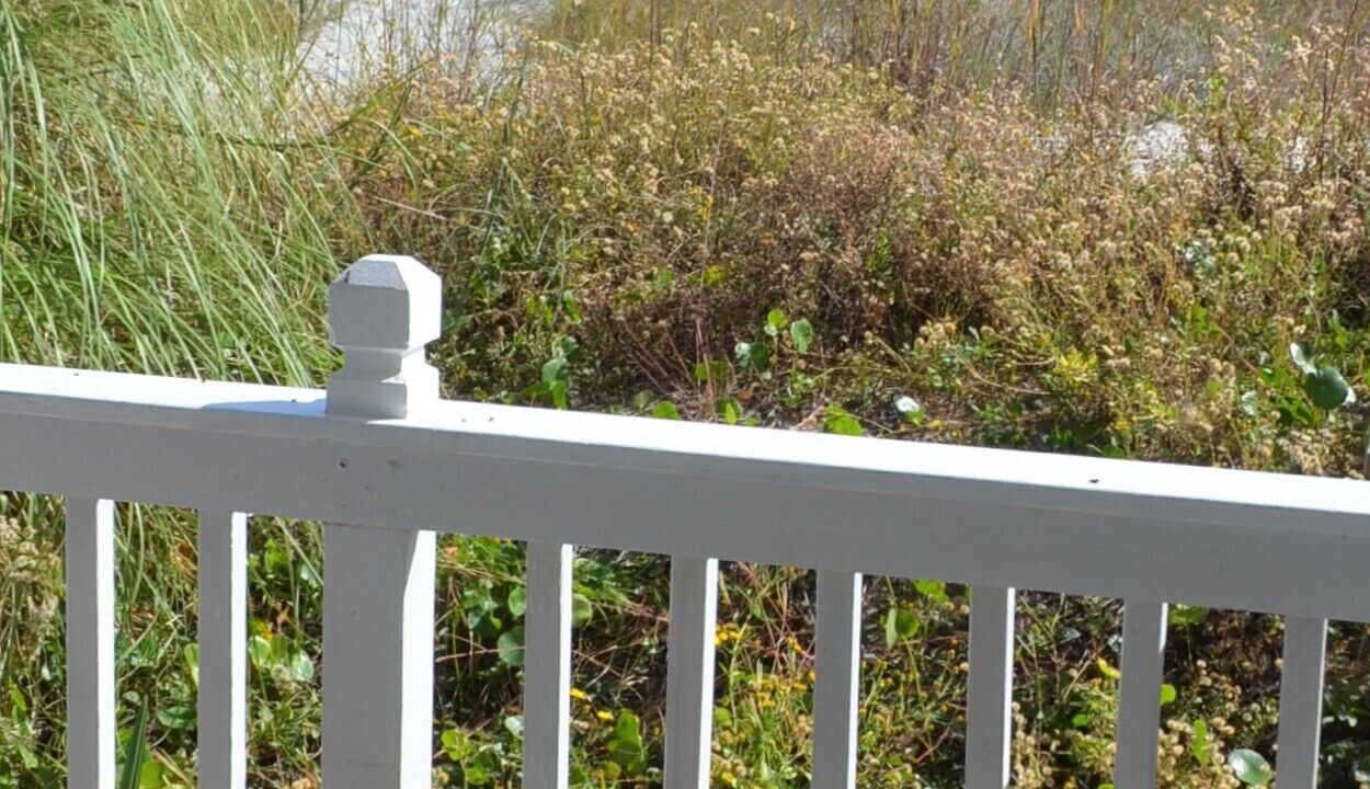 Photo of Outdoor in Surfside Beach