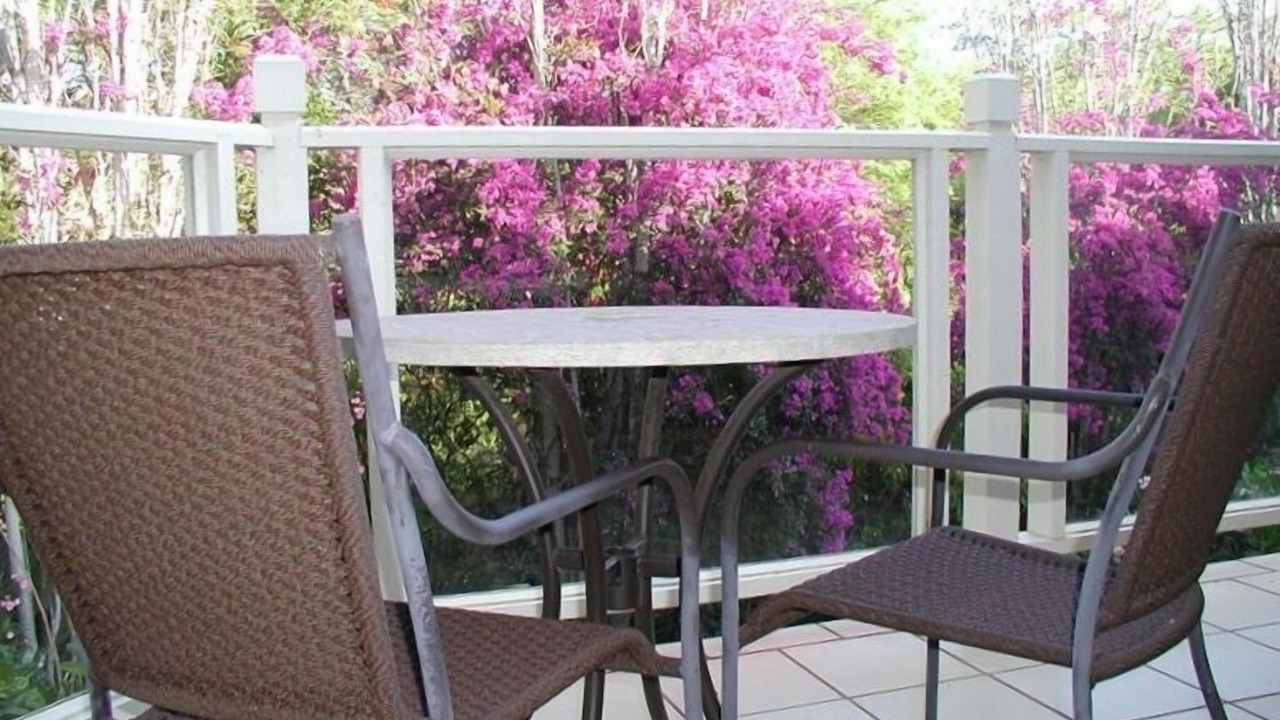 Photo of Outdoor in Wailea