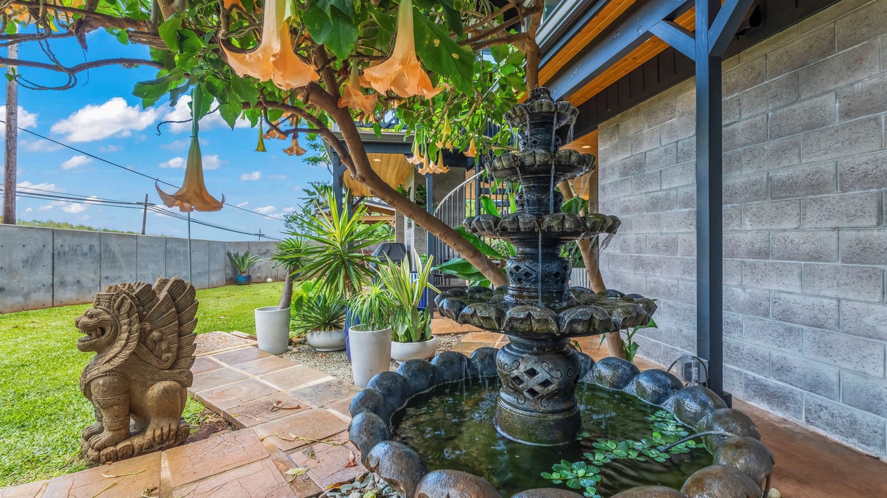 Photo of Outdoor in Paia