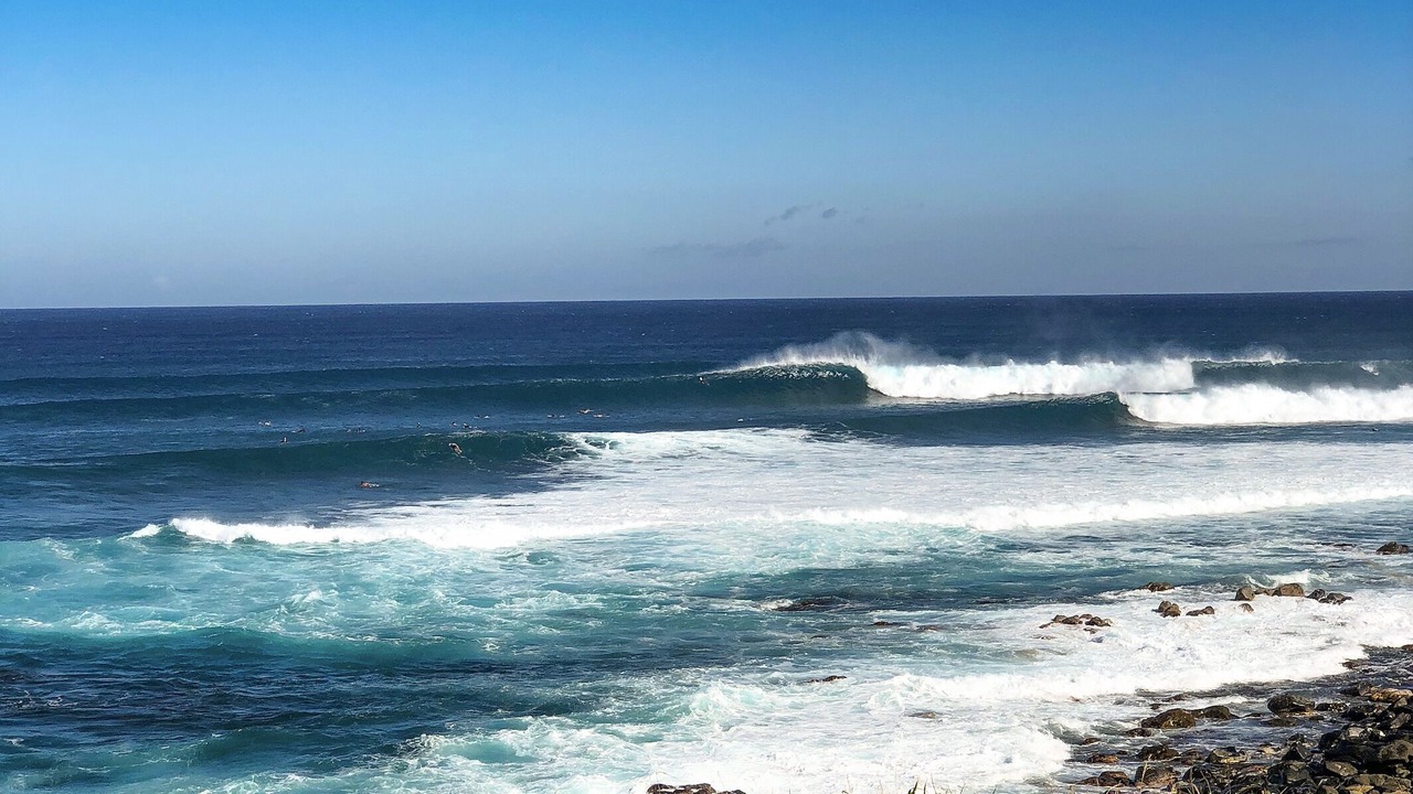 Photo of Others in Paia