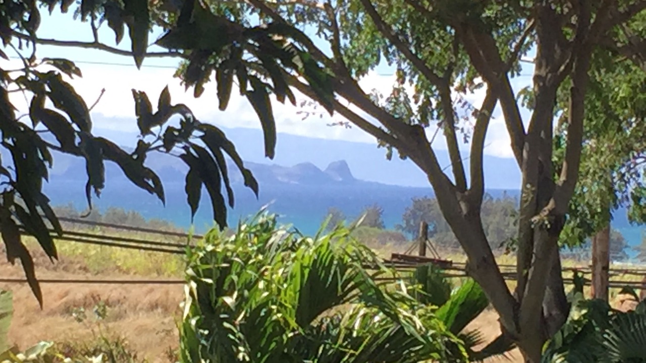Photo of Others in Paia
