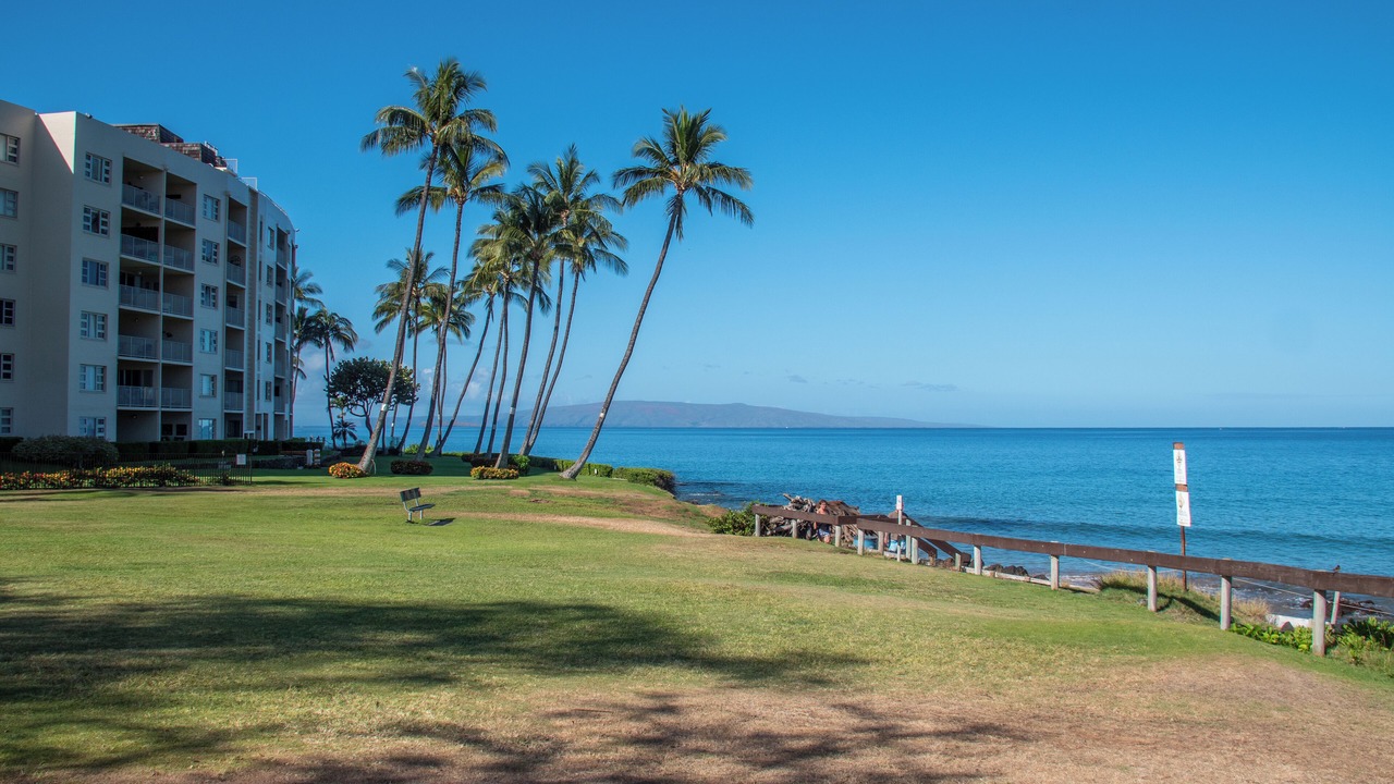 Photo of Others in Kihei