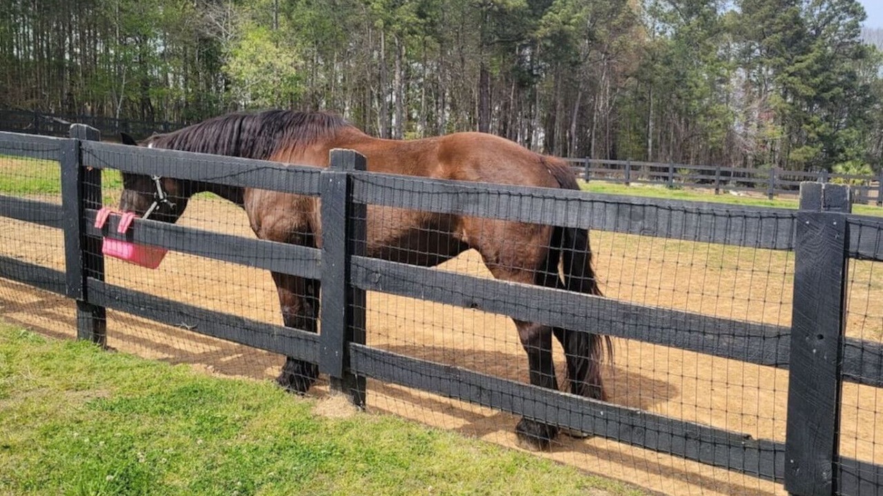 Photo of Others in Flowery Branch