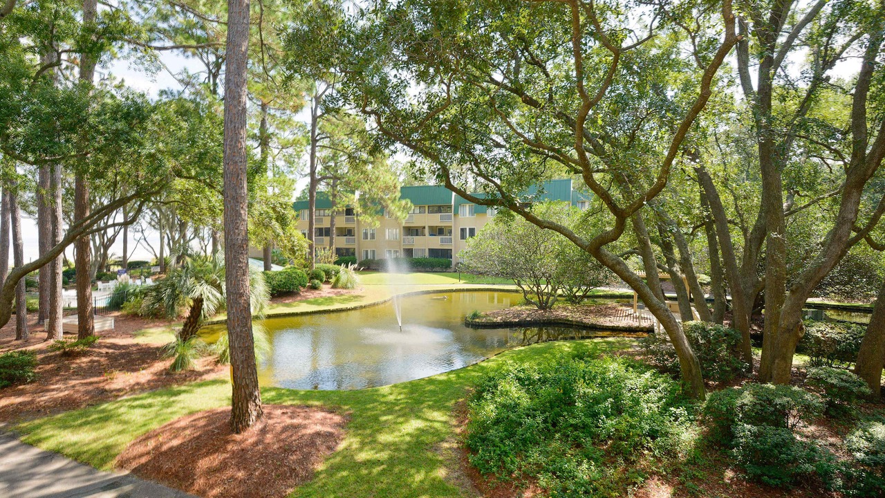 Photo of Outdoor in Palmetto Dunes