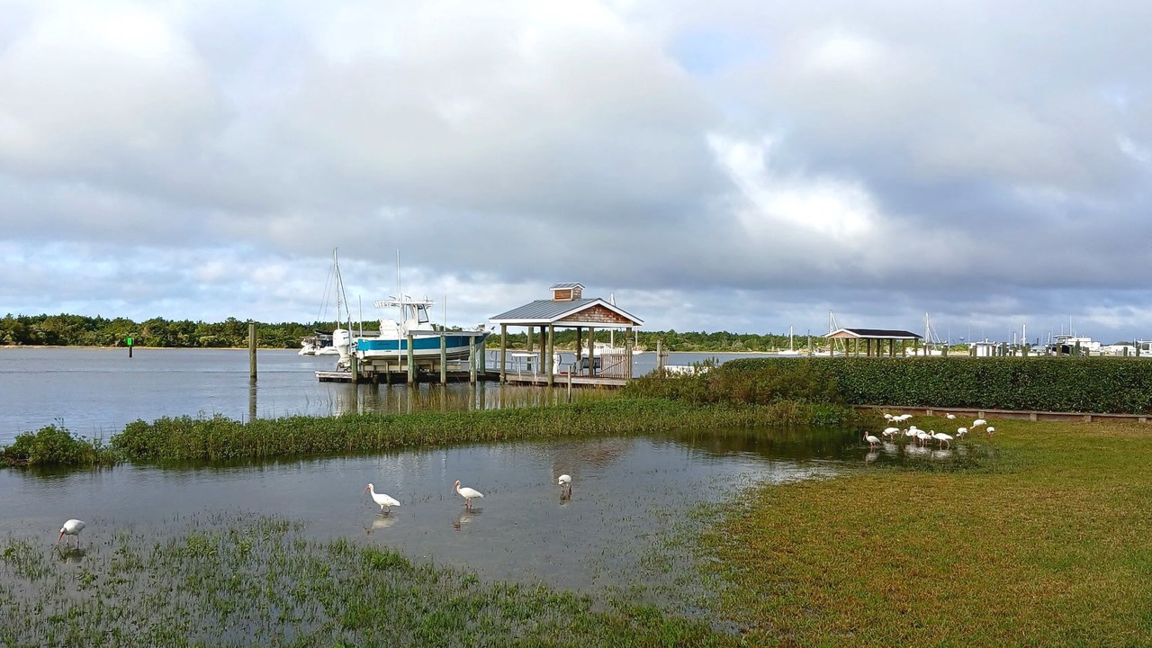 Photo of Others in Morehead City