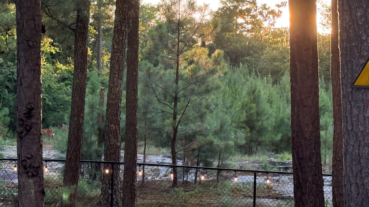Photo of Outdoor in Lithonia