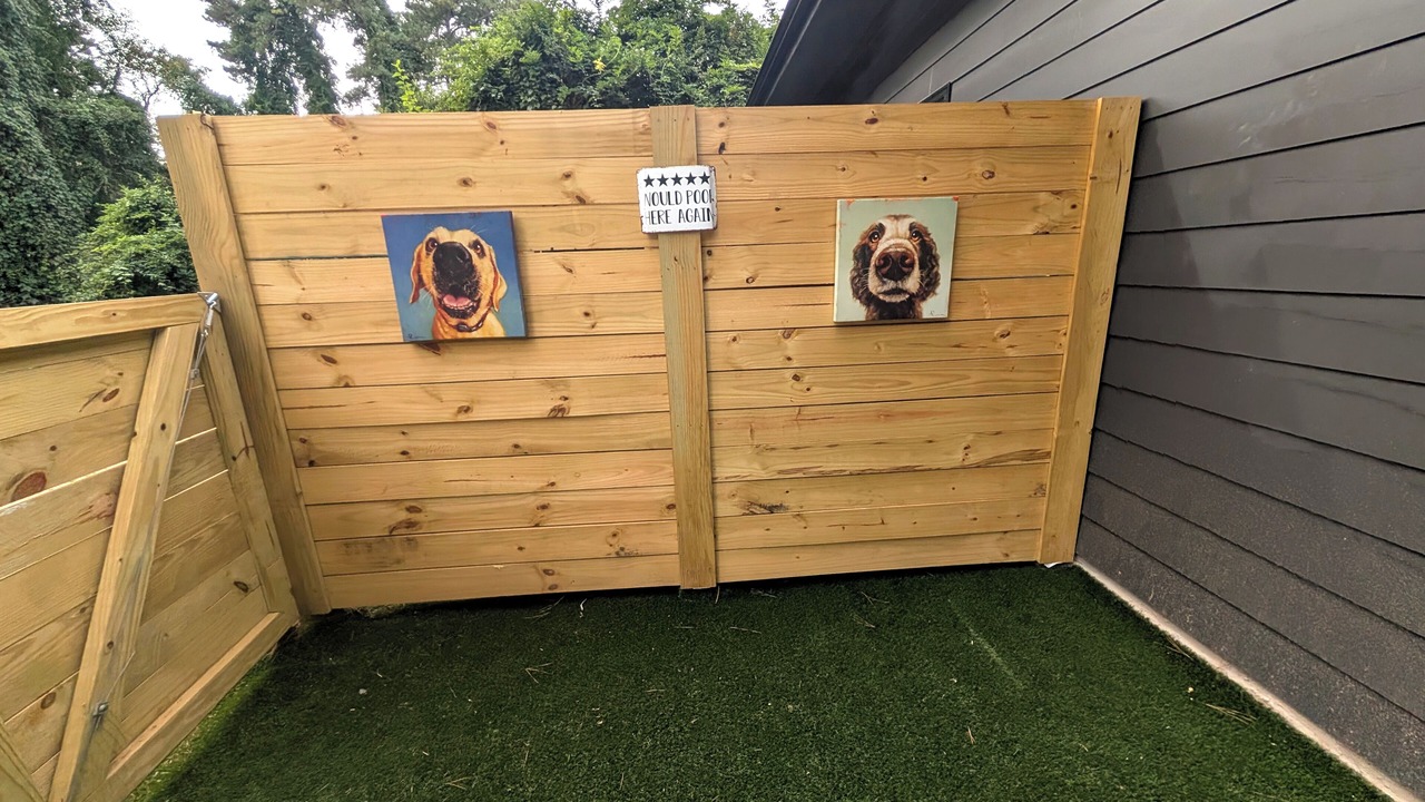 Photo of Outdoor in Southeast Raleigh