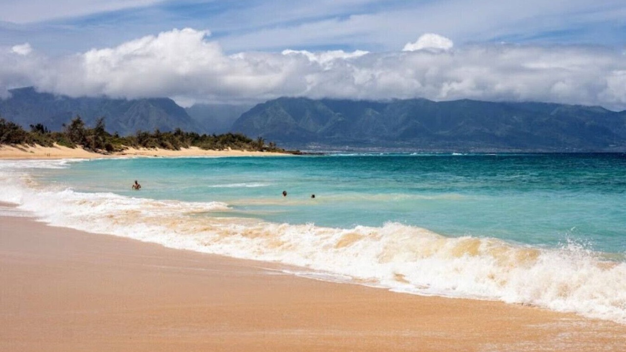 Photo of Others in Makawao