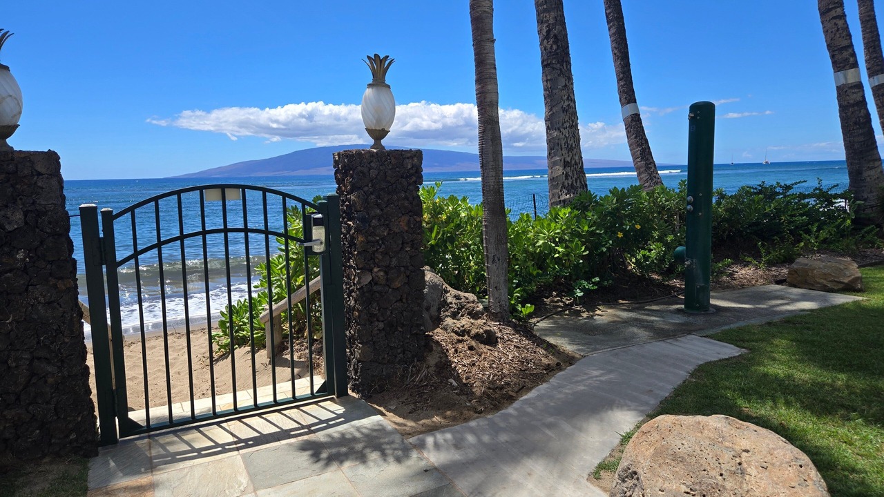 Photo of Outdoor in Historic Lahaina Front Street