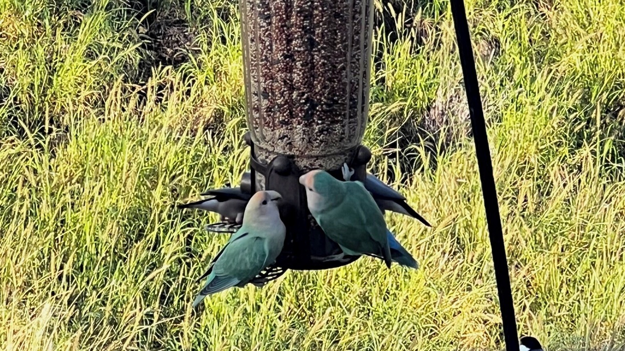 Photo of Others in Sunset Ridge