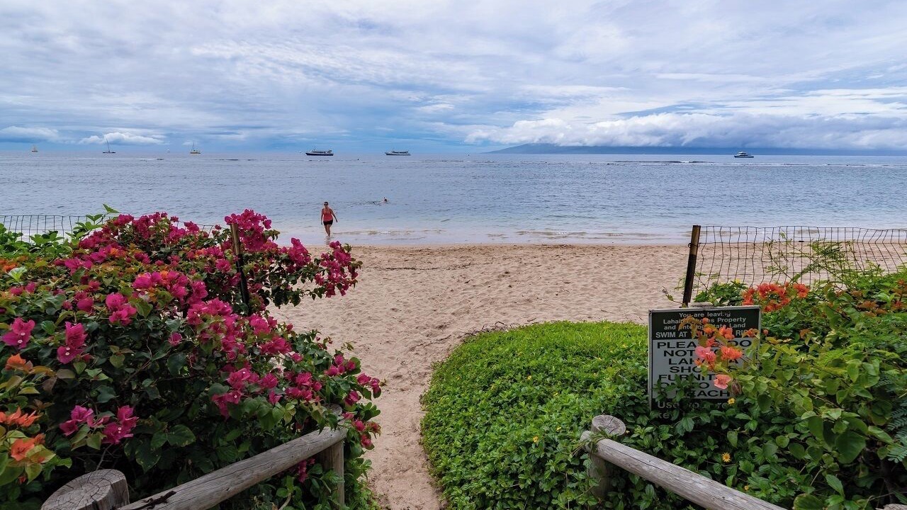 Photo of Others in Historic Lahaina Front Street