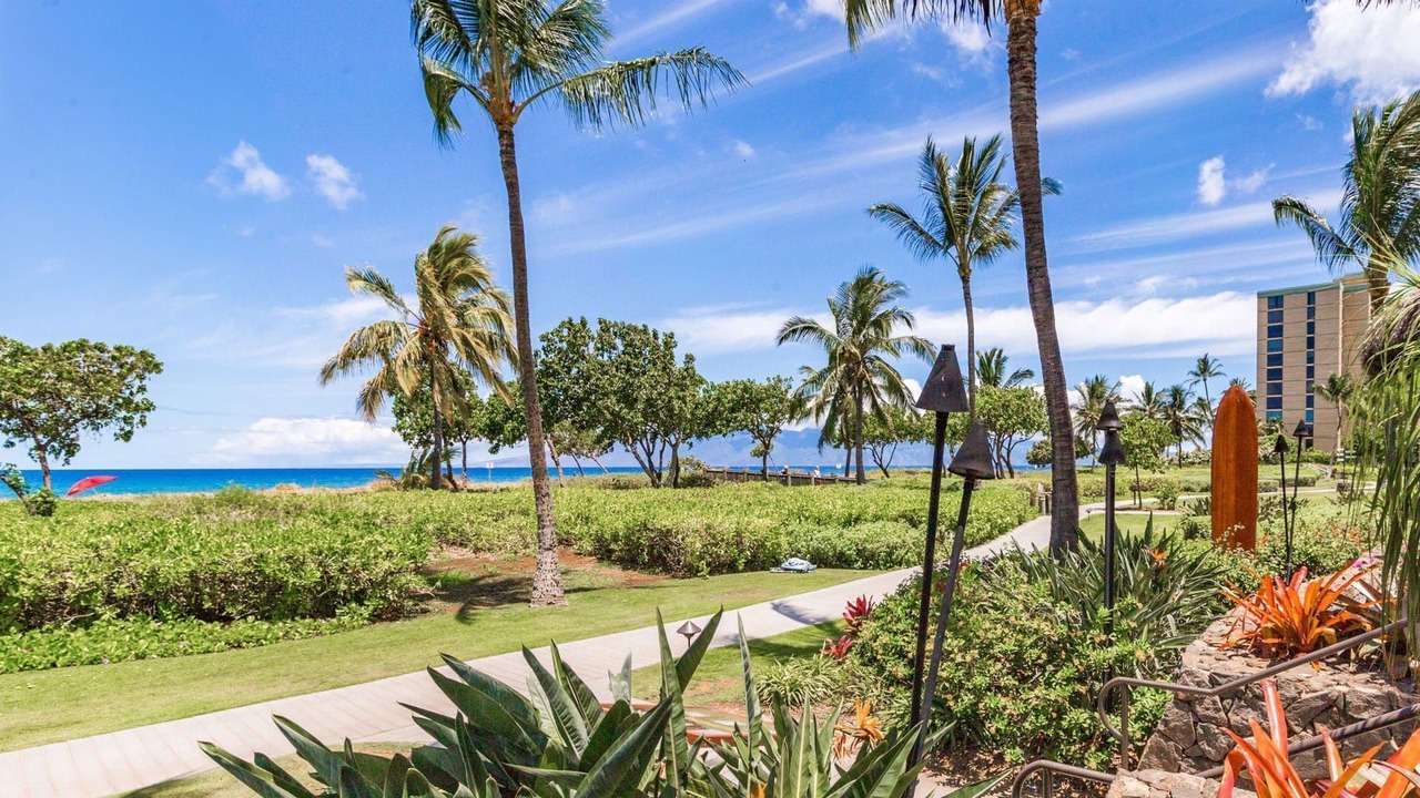 Photo of Others in Kaanapali