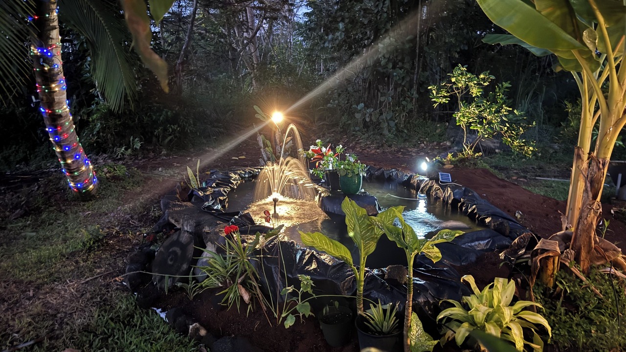 Photo of Outdoor in Nanawale Estates