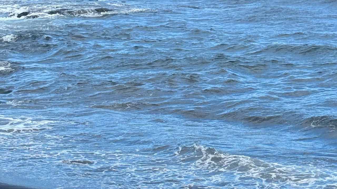 Photo of Others in Nanawale Estates