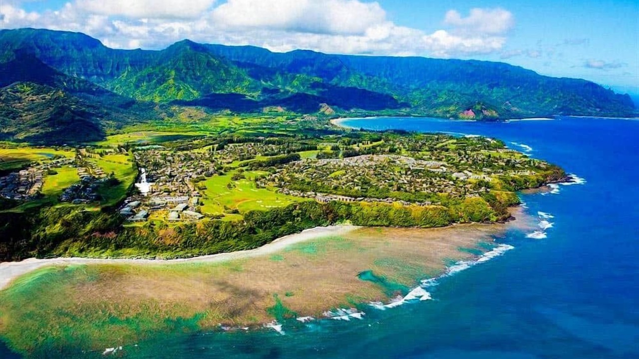 Photo of Others in Kaiulani