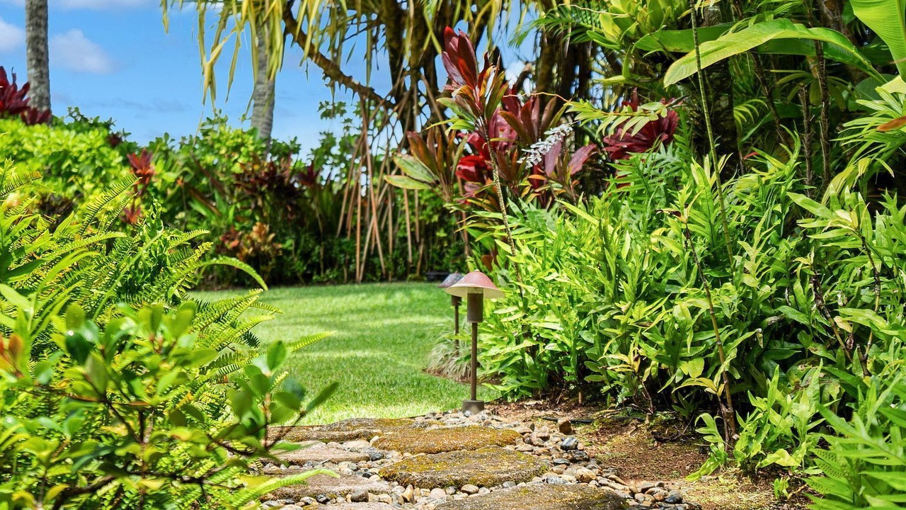 Photo of Outdoor in Kilauea