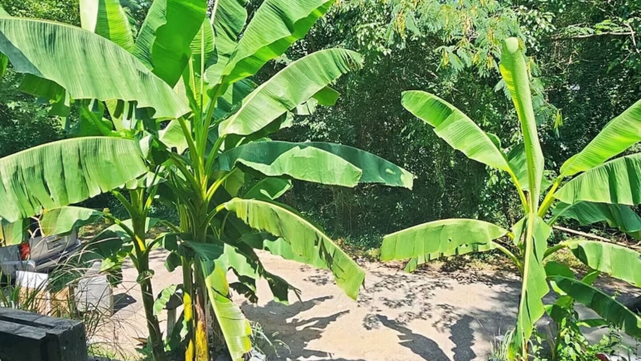Photo of Outdoor in Dunean