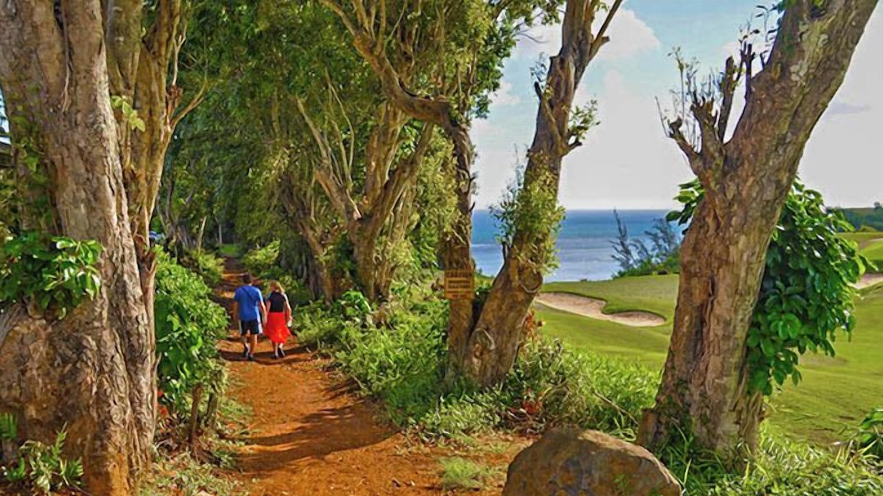Photo of Others in Princeville