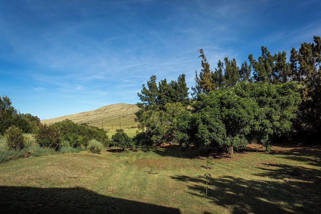 Photo of Others in Kamuela