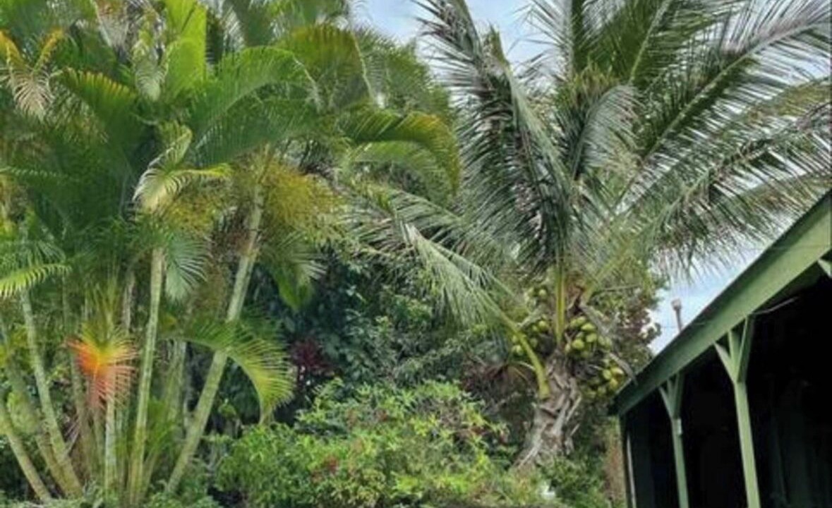 Photo of Outdoor in Mark Twain
