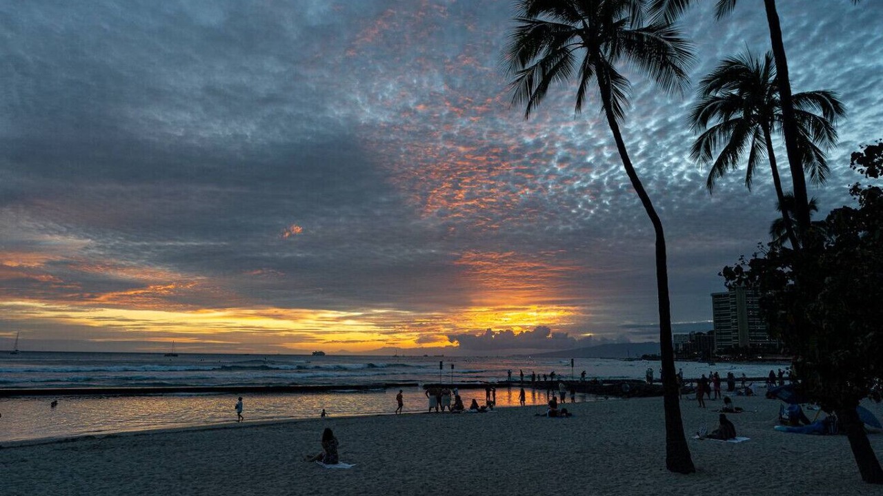 Photo of Others in Waikiki