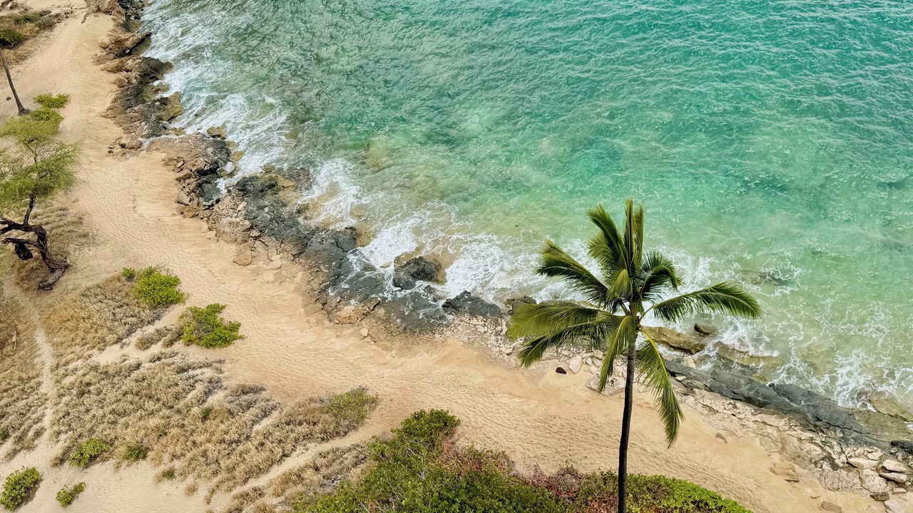 Photo of Others in Makaha