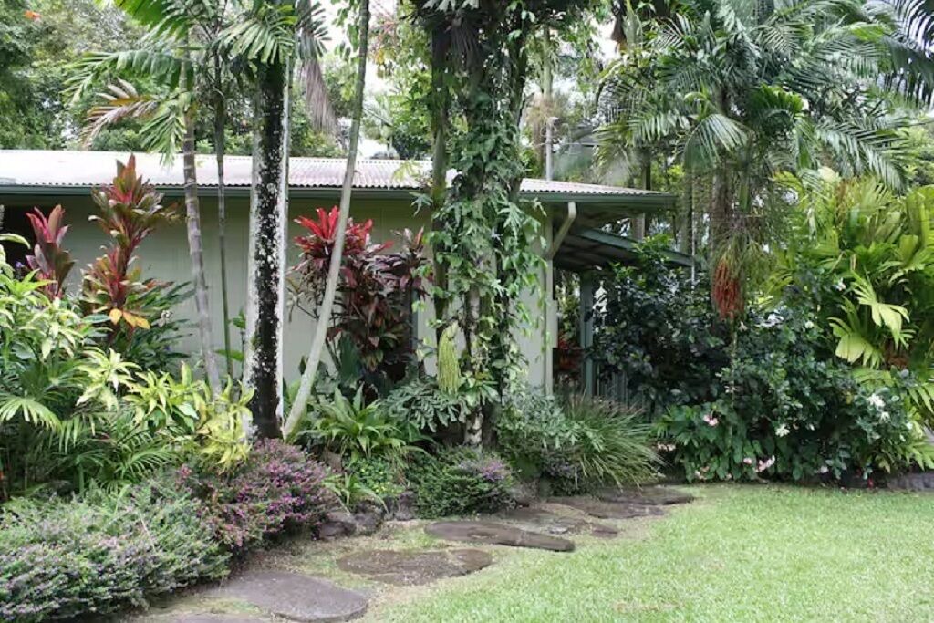 Photo of Outdoor in Hilo