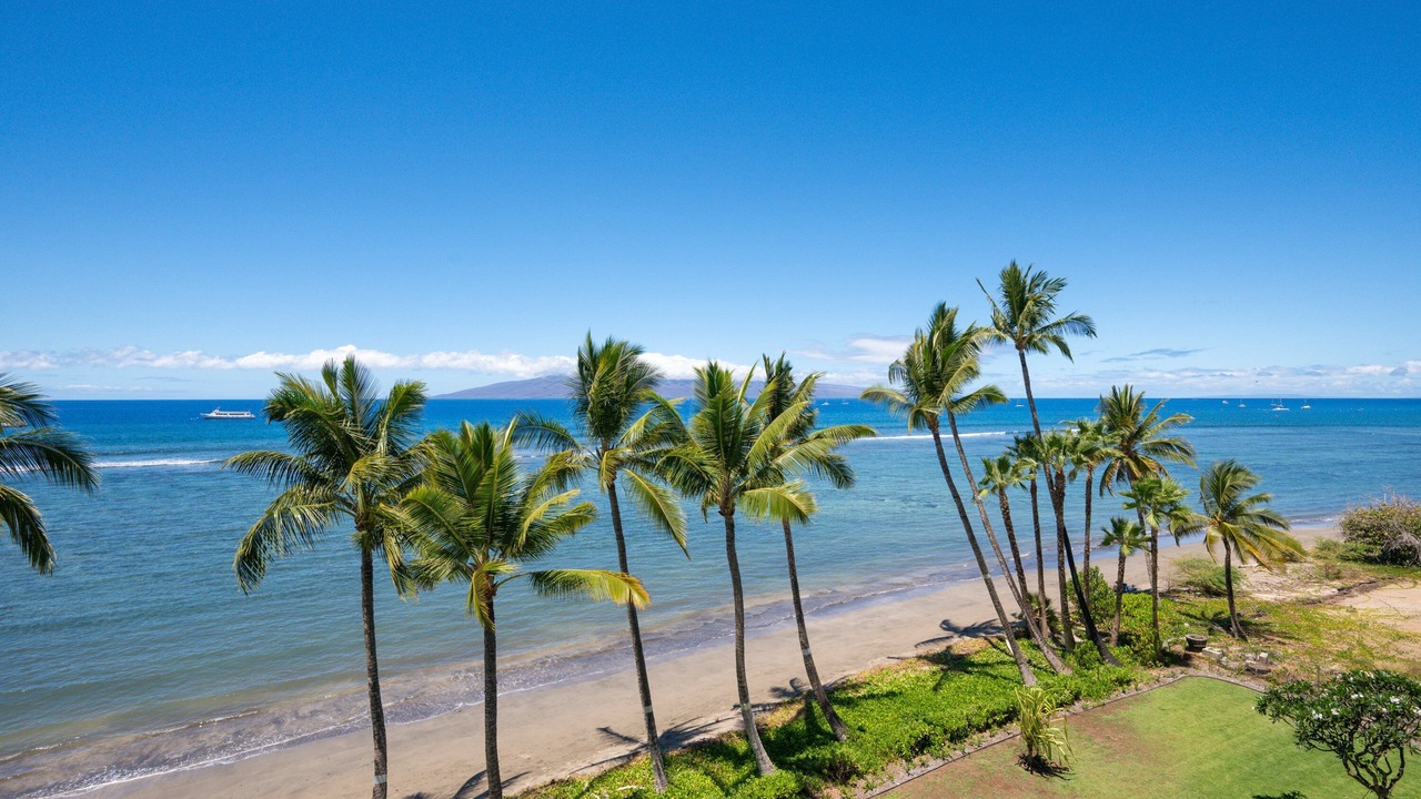 Photo of Others in Historic Lahaina Front Street