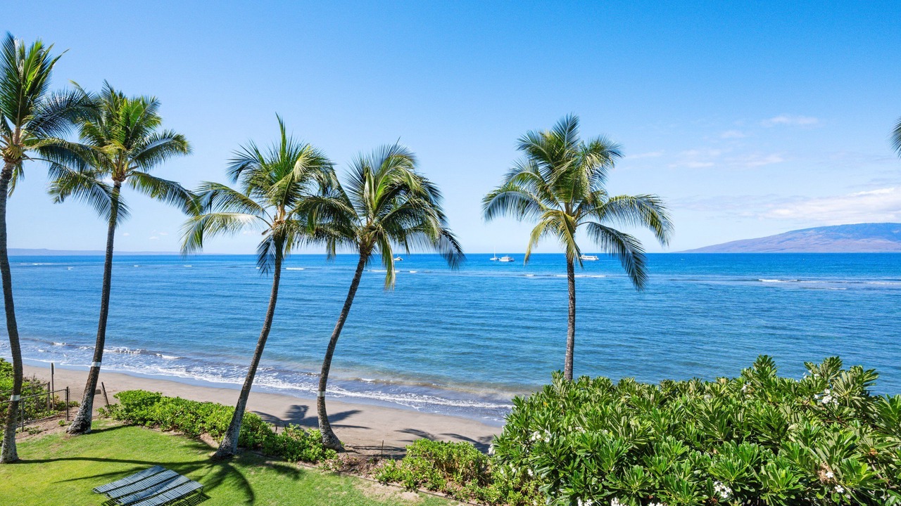 Photo of Others in Lahaina