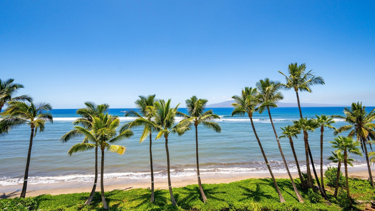 Photo of Others in Historic Lahaina Front Street