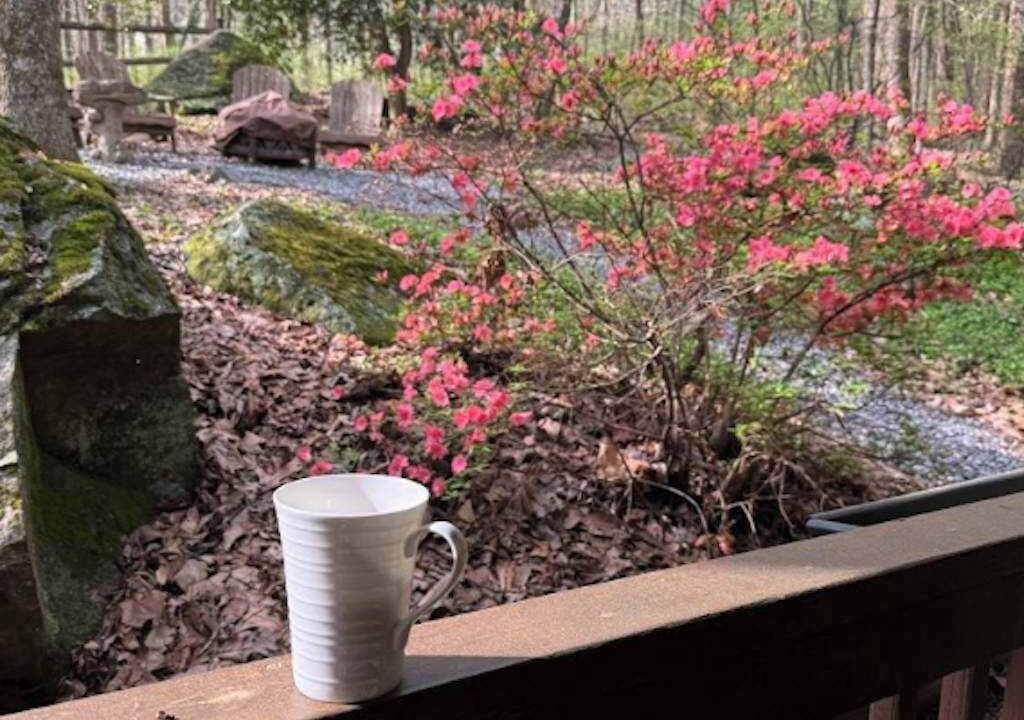 Photo of Outdoor in Lake Lure