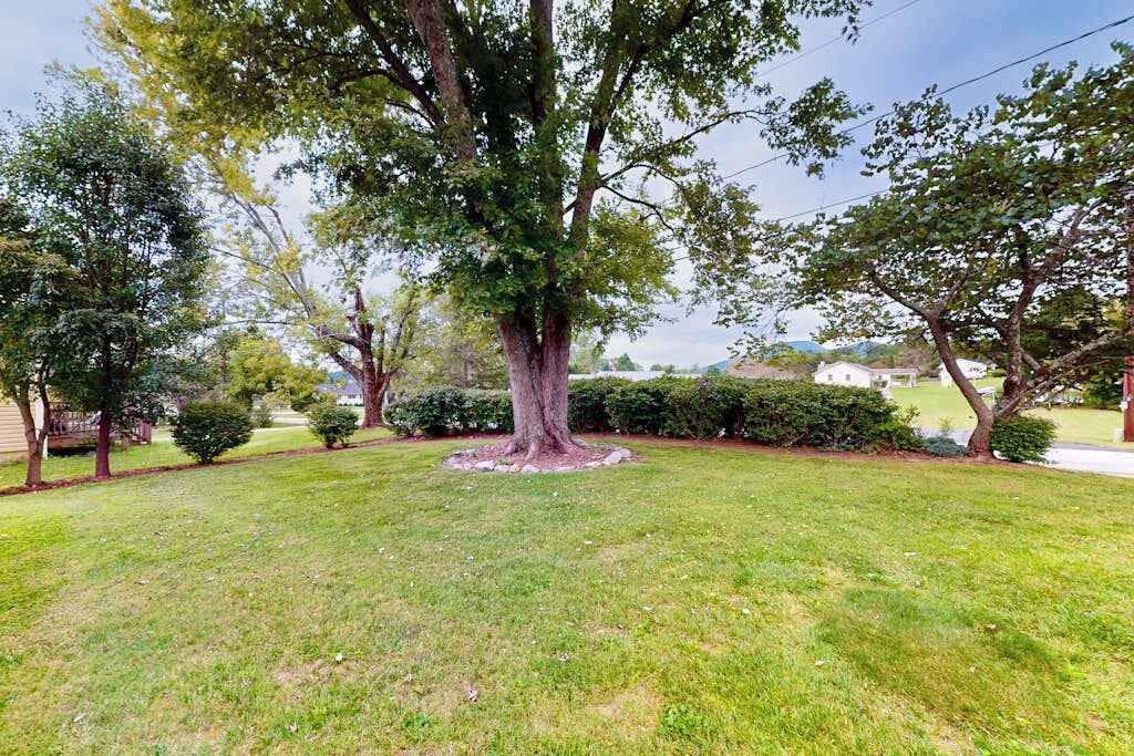 Photo of Outdoor in Mills River