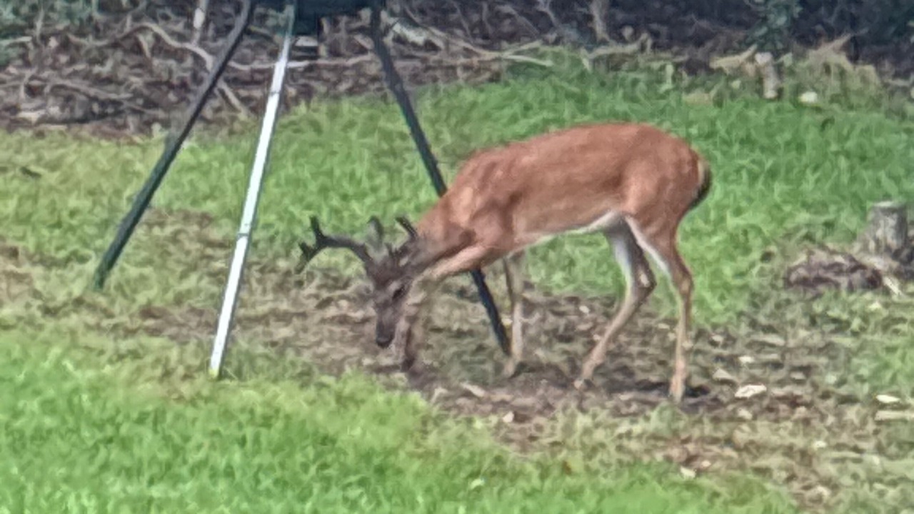 Photo of Others in Lenoir