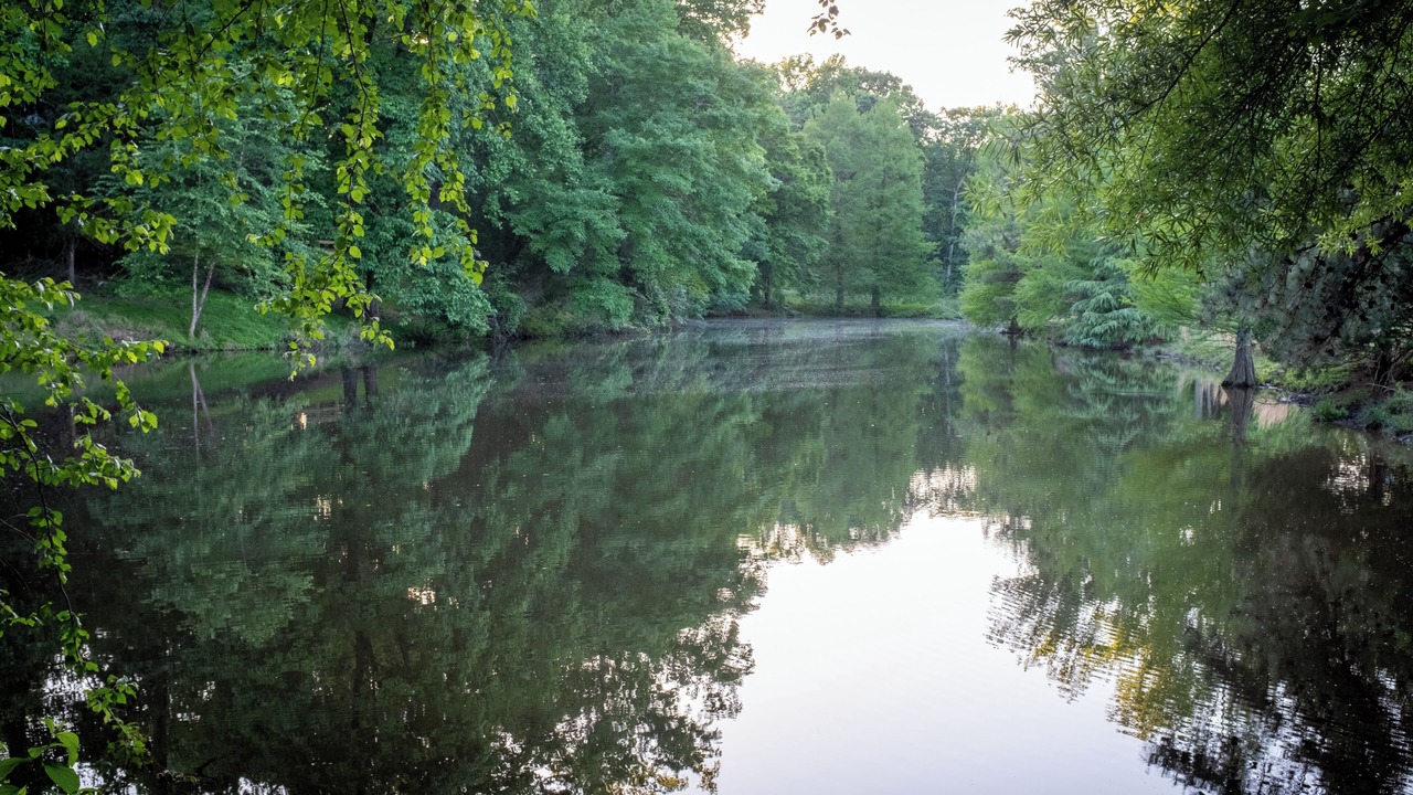 Photo of Others in Winston - Salem