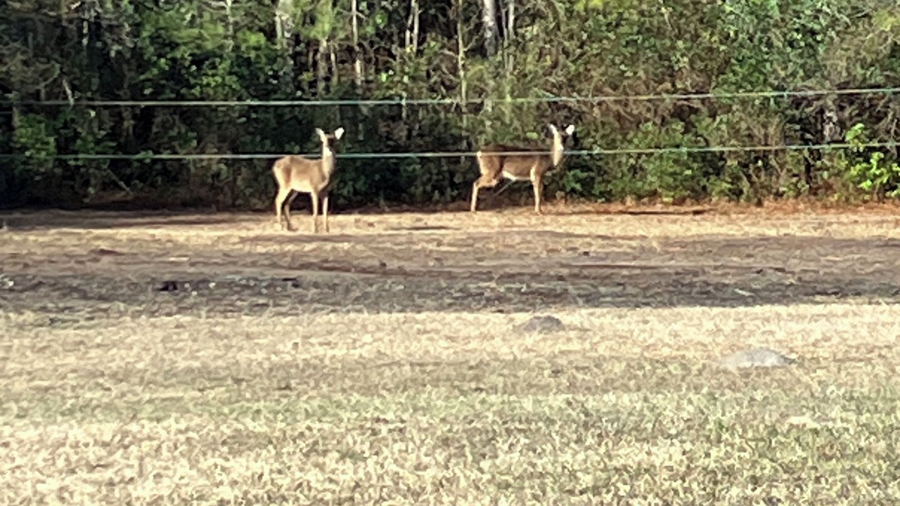 Photo of Others in Little River