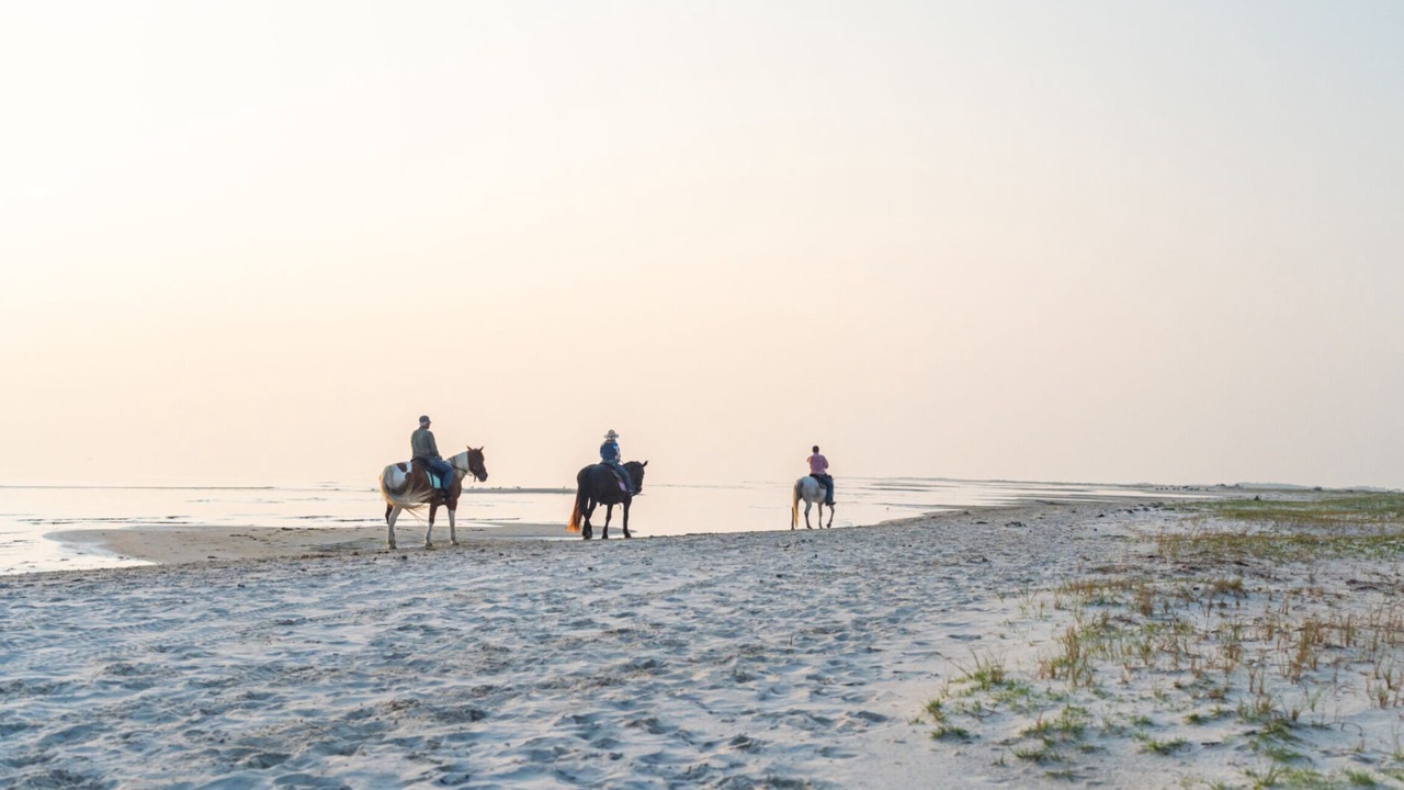 Photo of Others in Cedar Island