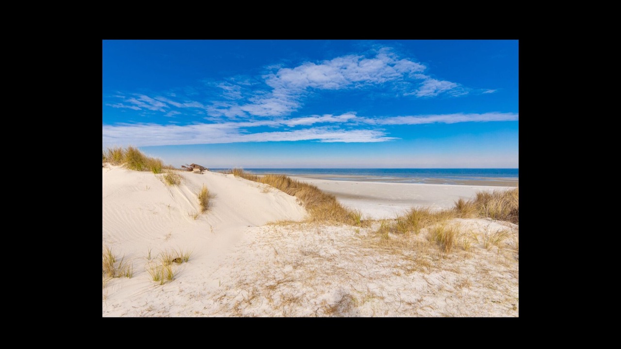 Photo of Others in Cedar Island