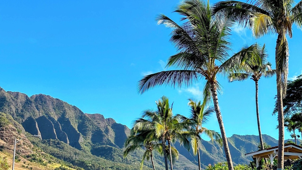 Photo of Outdoor in Makaha Valley