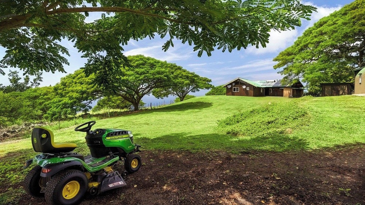 Photo of Outdoor in Kealakekua